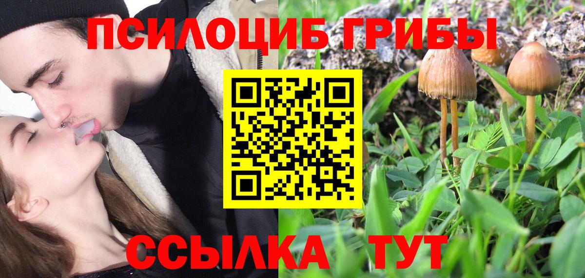 Псилоцибиновые грибы Magic Shrooms  Псилоцибиновые грибы Psilocybine cubensis  Зеленодольск  Вход с VPN 